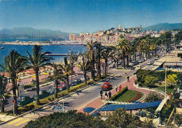 Côte D'Azur, Cannes, Le Croisette Et Le Suquet Gl1976 #F4450 - Cannes