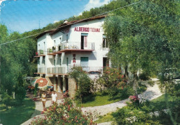 Pai Sul Garda, Albergo Tiziana Glum 1960? #F4183 - Other & Unclassified