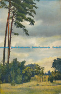 R116524 Old Postcard. Trees. Photochromie - Welt