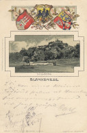 Blankenese Bei Hamburg, Süllberg, Prägewappen-Litho Gl1899 #F5111 - Sonstige & Ohne Zuordnung