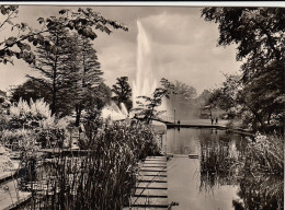 Hamburg, Planten Und Blomen, Ausstellungspark Gl1951 #F5562 - Otros & Sin Clasificación