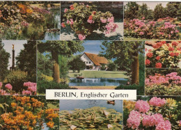 Berlin, Englischer Garten (im Tiergarten) Mehrbildkarte Gl1972 #F7275 - Otros & Sin Clasificación