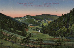 Teutoburger Wald, Lippische Shweiz, Sommerfrische Hangstein Gl1917 #F6780 - Otros & Sin Clasificación