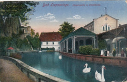Bad Lippspringe, Lippequelle Und Trinkhalle Feldpgl1918 #F9150 - Otros & Sin Clasificación