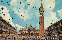 Venezia, Piazza S.Marco, Piccionata Ngl #F9642 - Other & Unclassified