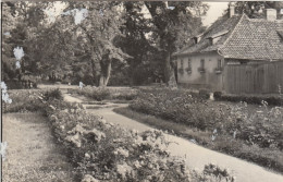 Arnstadt In Thüringen, Stadtpark Glum 1960? #F9715 - Autres & Non Classés