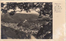 Schwarzburg Im Thür.Wald, Vom Trippstein Glum 1930? #F8814 - Autres & Non Classés
