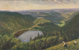 H.HOFFMANN Feldberg-Seebuck, Schwarzwald, Blick Auf Den Feldsee Gl1912 #F9210 - Autres & Non Classés