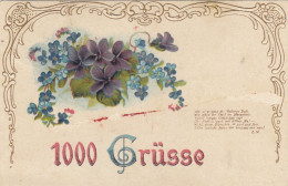 1000 Grüße Mit Veilchen, Prägedruck Gl1910 #F9161 - Autres & Non Classés