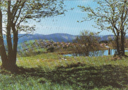 Blick Auf St.Andreasberg/Oberharz, Gl1993 #F9320 - Sonstige & Ohne Zuordnung