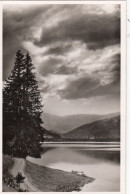 Titisee, Schwarzwald Ngl #F9950 - Autres & Non Classés