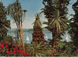 Insel Mainau Im Bodensee, Drascaenengruppe Ngl #G0556 - Andere & Zonder Classificatie