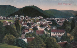 Bad Harzburg, Panorama Gl1919 #G2145 - Sonstige & Ohne Zuordnung