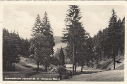 Sommerfrische Oberhain, Thür.Wald, Barigauer-Grund Gl1960 #G0813 - Otros & Sin Clasificación