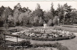 Faßberg, Lüneburger Heide Gl1967 #F9968 - Sonstige & Ohne Zuordnung