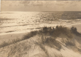 Nordsee-Insel Sylt, Blick Au Das Meer Ngl #G0206 - Otros & Sin Clasificación