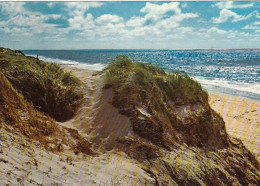 Nordseebad Norderney, In Den Dünen Gl1971 #G2719 - Otros & Sin Clasificación