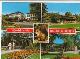 Bad Salzhausen, Mehrbildkarte Gl1991 #G0701 - Other & Unclassified
