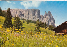 Dolomiti, Alpe Di Siusi Verso La Sciliar Ngl #G0532 - Otros & Sin Clasificación