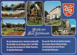 Bad Salzhausen, Mehrbildkarte Mit Spruch Gl1987 #G0702 - Other & Unclassified