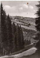 Hohe Geiss/Oberharz, Blick Vom Lampertsberg Gl1958 #G2307 - Otros & Sin Clasificación