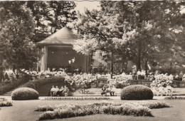 Bad Elster, Musikpavillon Am Kurhaus Gl1958 #G0811 - Autres & Non Classés