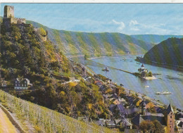 Kaub A.Rhein, Die Pfalz Und Burg Gutenfels Gl1986? #G0963 - Sonstige & Ohne Zuordnung