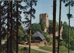 Königsfeld, Schwarzwald, Ruine Waldau Gl1972 #G1455 - Autres & Non Classés