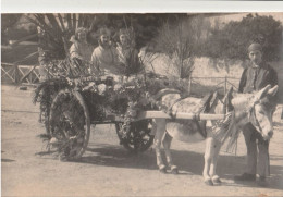 CPA Carte Photo Penvenan Bugueles Port Blanc Souvenir De La Mi Carême 1934 - Penvénan