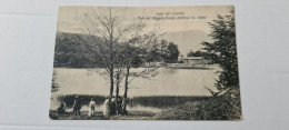 LAGO DEL CERRETO ALPI  3 Animazione - Reggio Emilia