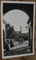 LAGHOUAT , Porte D'Alger Et Grande Mosquée ................ BE-19330 - Laghouat