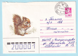 USSR 1986.0219. Baby Squirrel. Prestamped Cover, Used - 1980-91