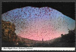 New Mexico, Carlsbad Caverns, Bat Flight From Natural Entrance, Unused - Altri & Non Classificati