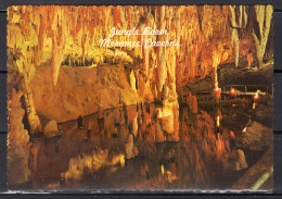 Missouri, Meramec Caverns, Jungle Room, Unused - Andere & Zonder Classificatie