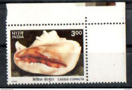 India - 1998 - Shell - Cassis Cornuta -   MNH. ( OL 13/11/2022.) - Nuevos