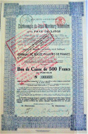 S.A. Ch.du Grand-Mambourg Sablonnière -bdc De 500fr  (1923) - Mineral