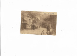 Carte Postale - Scherpenheuvel-Zichem