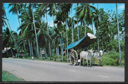 Malacca, Bullock Cart, Unused. - Malesia