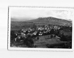 SANCERRE : Vue Prise D'Amigny, Cru Renommé - état - Sancerre