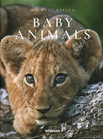 Baby Animals - Other & Unclassified