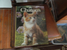 Livre Sur Le Chat - Dieren