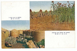 CH 47 - 4657 Kaoliang Field & Field Pile Of Cereals, China - Old Postcard - Unused - Chine