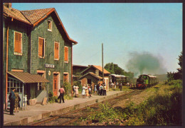 LOCOMOTIVE MEUSE N° 51 ET VOITURES B6 METALLISEES ET B7 EN QUEUE - Trains