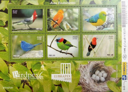 Brazil 2009, Birds, MNH Unusual S/S - Unused Stamps