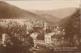 DE494  --  HERRENALB   --  BLICK AUF DAS KURHAUS  --  1925  --  BAHNPOST  --  ZUG 123 - Bad Herrenalb