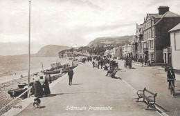 SIDMOUTH - Promenade - Card In Very Good Condition ! - Andere & Zonder Classificatie