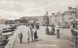 SIDMOUTH - Promenade - Card In Very Good Condition ! - Sonstige & Ohne Zuordnung