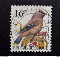 Belgie Belgique - 1994 - OPB/COB N°  2534 (1 Val ) -  Pestvogel - Bombycilla Garrulus - Jaseur - Buzin Obl. Damme - Oblitérés