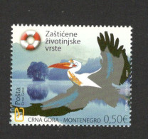 MONTENEGRO-MNH STAMP - PROTECTED ANIMAL SPECIES - FAUNA - BIRDS - 2007. - Montenegro