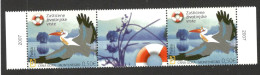 MONTENEGRO-MNH STRIP - PROTECTED ANIMAL SPECIES - FAUNA - BIRDS - 2007. - Montenegro